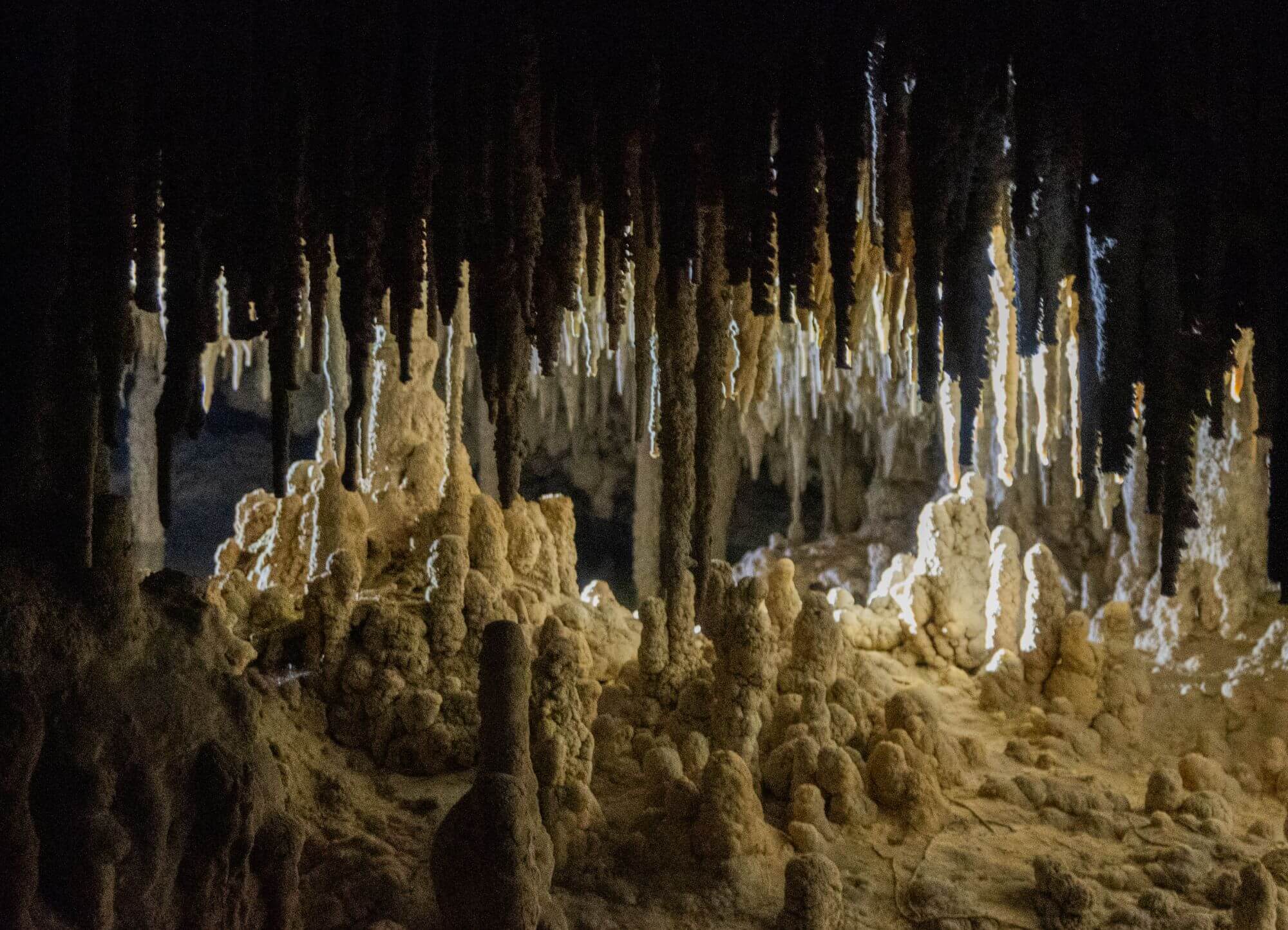 Underground river with stalactites in the Riviera Maya